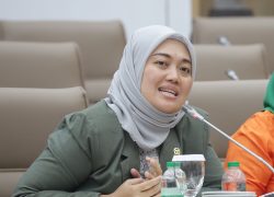 Marak Barang Impor, Chusnunia Komisi VII Minta BSN Tingkatkan Perlindungan Pasar Domestik