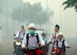 FPKB DPRD Riau Minta Penanganan Khusus Kabut Asap