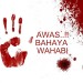 Alwi Shihab: Kampanye SARA, Ciri Khas Wahabi