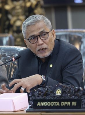Sidak Dirjen Imigrasi di Canggu, Mafirion: Jangan Tunggu WNA Viral Baru Bertindak