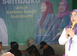 Ninik Dorong Sinergitas Multilevel Pulihkan Sukabumi Pasca Banjir Bandang