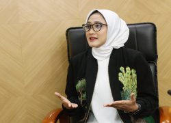 PKB Minta Program Impor 2 Juta Sapi Tidak Ganggu Peternakan Lokal 
