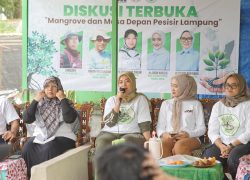 Chusnunia Dorong Pelestarian Mangrove untuk Masa Depan Pesisir Lampung