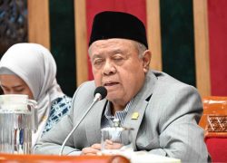 Prabowo Ingin Bangun 500 Sekolah Rakyat, DPR Ingatkan Pentingnya Evaluasi