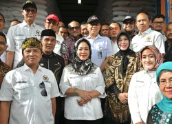 Genjot Serapan Gabah Petani, Anggota Komisi IV DPR RI Rina Sa’adah : Perlu Kolaborasi !