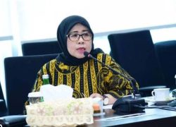 DPR Minta Pemerintah Jamin Keamanan dan Inklusivitas Super Apps SAPA UMKM
