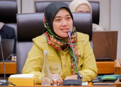 Komisi VII: Percuma Kampanye Produk Lokal, Tapi UMKM Justru Dihambat Oknum Bea Cukai