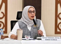 RS Pascabanjir Akhirnya Beroperasi, DPR Ingatkan Kemenkes Optimalkan Layanan
