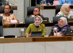 Musim Kemarau Diprediksi Lebih Panjang, Komisi IV Minta Antisipasi Gagal Panen