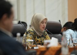 Chusnunia : Trend Dupe Culture dan Potensi Perkembangan Brand Lokal dan Industri Nasional