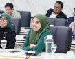 Kelas Menengah Kian Rentan, Pemerintah Diminta Perluas Perlindungan Sosial