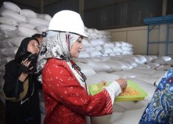 Stok Beras Melonjak 49%, Rina Saadah PKB: Swasembada Pangan 2029 Target Realistis