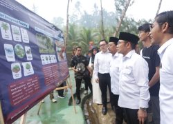 Banyumas Dominasi Ekspor Gula Kelapa di Dunia, Cak Imin: Luar Biasa!