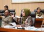 Cegah Salah Sasaran, Ratna Juwita Desak Kementerian ESDM Matangkan Verifikasi Data BPBL