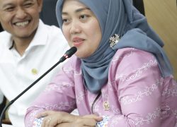 Chusnunia : Atasi Pengangguran dengan Penguatan UMKM dan Ekonomi Kreatif