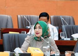 Harga Beras Naik Saat Stok Melimpah, Komisi VI: Pemerintah Harus Segera Bertindak