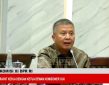 Bertu Merlas PKB: Potensi Karbon RI Raksasa, Tapi Mandek karena Biaya Hitung Selangit!