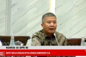 Bertu Merlas PKB: Potensi Karbon RI Raksasa, Tapi Mandek karena Biaya Hitung Selangit!