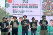 Mafirion: Mangrove Inhil Harus Dijaga