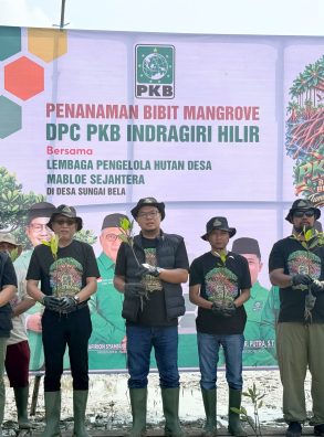 Mafirion: Mangrove Inhil Harus Dijaga