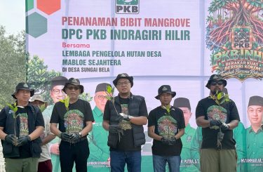Mafirion: Mangrove Inhil Harus Dijaga
