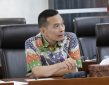 Rusak Paru-paru Dunia, PKB Desak Pemerintah Tetapkan Karhutla Bencana Nasional