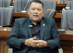 Polemik Empat Pulau, DPR Desak Pemerintah Pertimbangkan Unsur Sejarah
