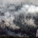 Lukman Edy Desak Pemerintah bentuk tim penyelidik kebakaran hutan Riau