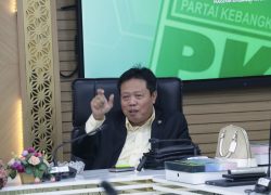 Kotak Kosong Menang di Dua Daerah, PKB: Sebaiknya Pilkada Ulang pada September 2025