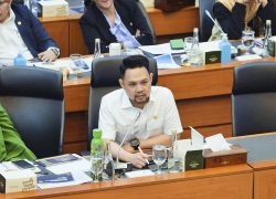 Mudik Lebaran 2025, Komisi VI Minta BUMN Pastikan Kesiapan Jalan hingga Rest Area