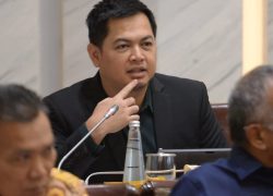 PPN Naik Jadi 12 Persen Pada 2025, Tommy Kurniawan: Setelah Ini Jangan Ada Kenaikan Lagi
