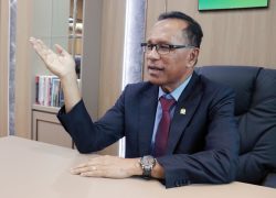 Target Swasembada Bawang Putih, Komisi IV: Pemerintah Harus Bangun Ekosistem dari Hulu hingga Hilir