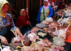 Stock Daging unggas Melimpah, Komisi IV Minta Kemendag Lakukan Ekspor