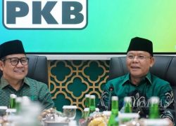 PKB Berharap PPP Lolos PT di MK